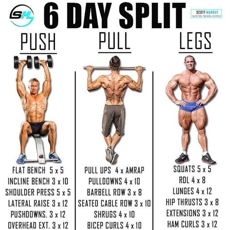 ppl/arnold split|Push Pull Legs x Arnold Split Workout Plan (Fully Explained)